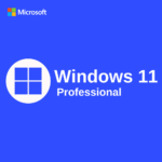 Windows 11 Professional Activation Key